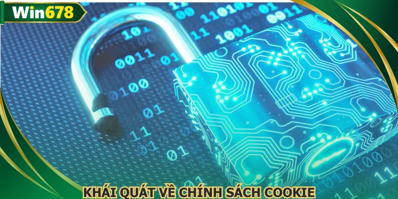 Chính sách cookie lưu trữ hành vi của mọi người chơi
