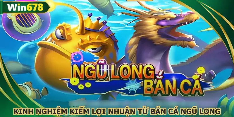 Kinh nghiệm vàng để kiếm lợi nhuận cao từ ngũ long đại chiến