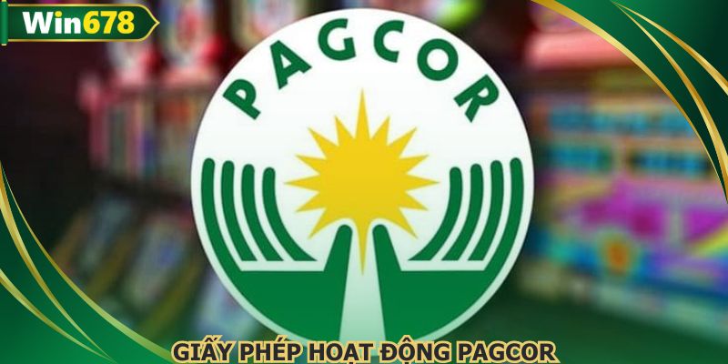 Tổng hợp các loại giấy phép cơ bản